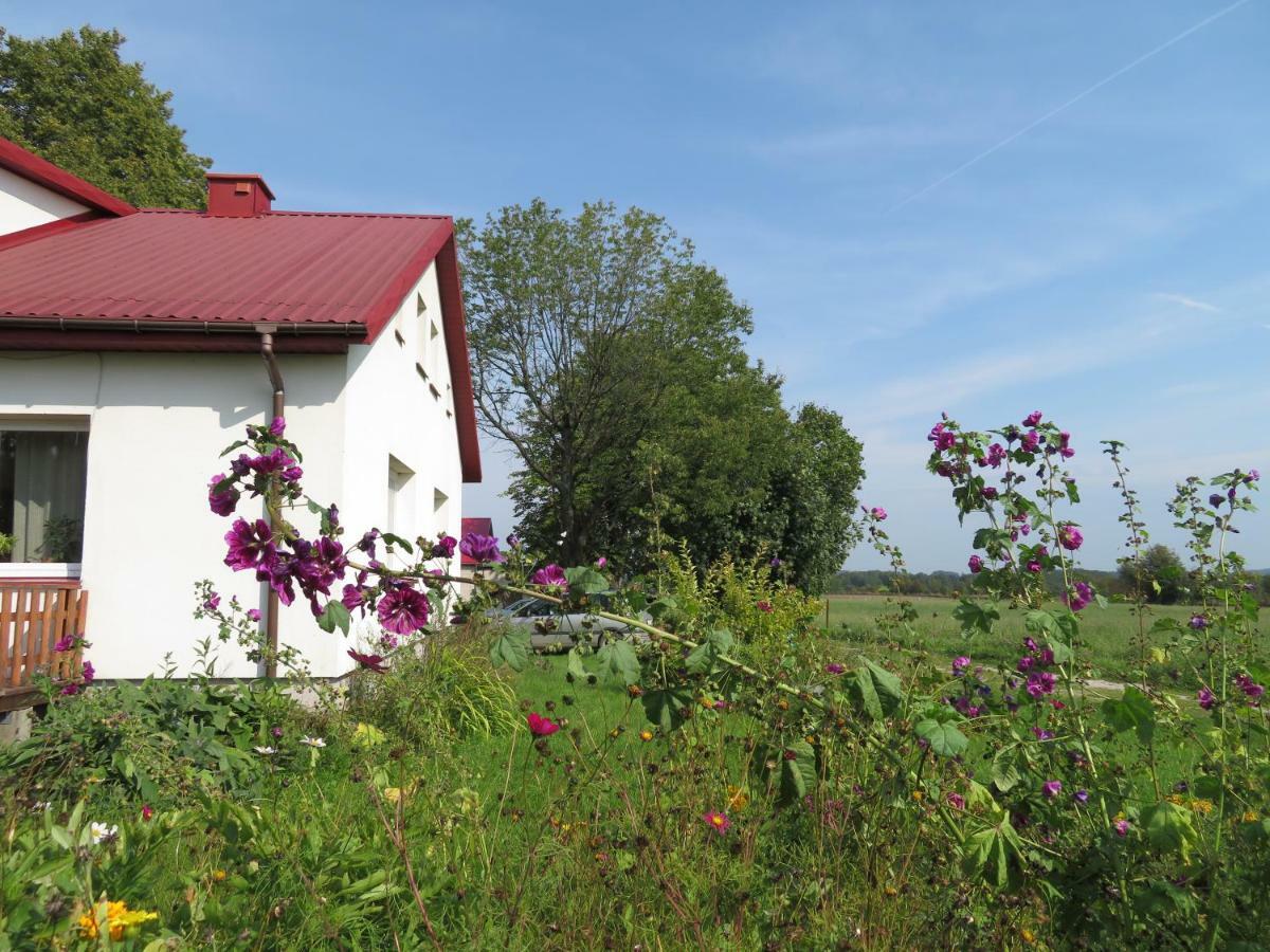 Villa Agrocamp à Pawlowka  Extérieur photo